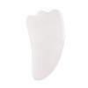 Wholesale Horn Shaped Gua sha Massage Tool